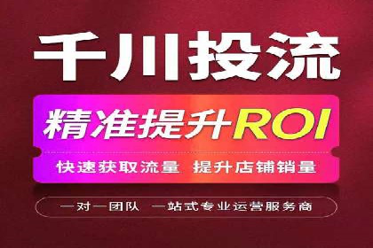 百度竞价广告成功案例：如何实现ROI最大化